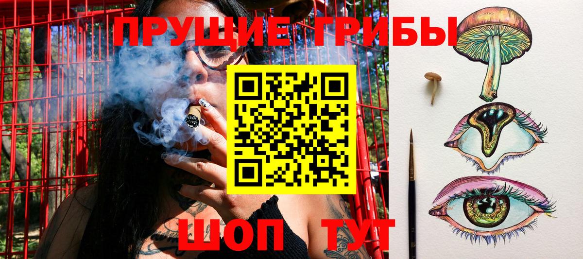 Звенигород  купить наркотик  Вход с VPN  Псилоцибиновые грибы Cubensis 